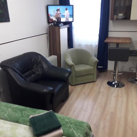 Apartment Ap 1 Im Zentrum Steyr, Bestrooms Eu Buitenkant foto