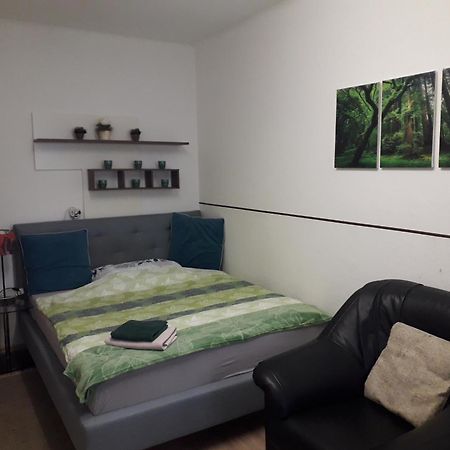 Apartment Ap 1 Im Zentrum Steyr, Bestrooms Eu Buitenkant foto